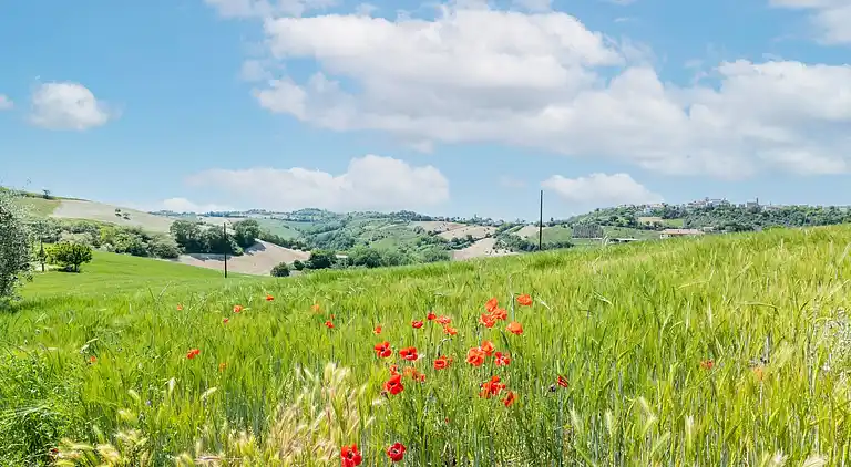 Ferienhaus in Torchiaro
