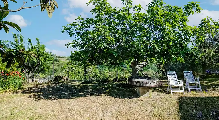 Ferienhaus in Torchiaro