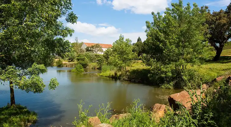 Manor house in São Sebastião da Giesteira