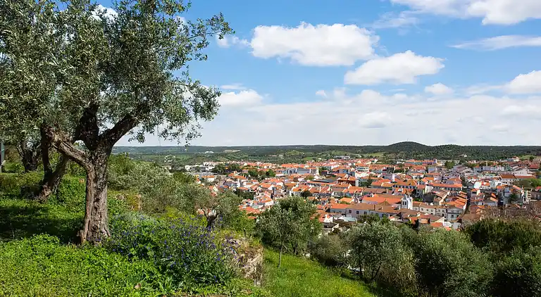 Farm house in São Sebastião da Giesteira