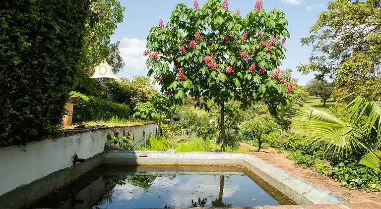 Manor house in São Sebastião da Giesteira