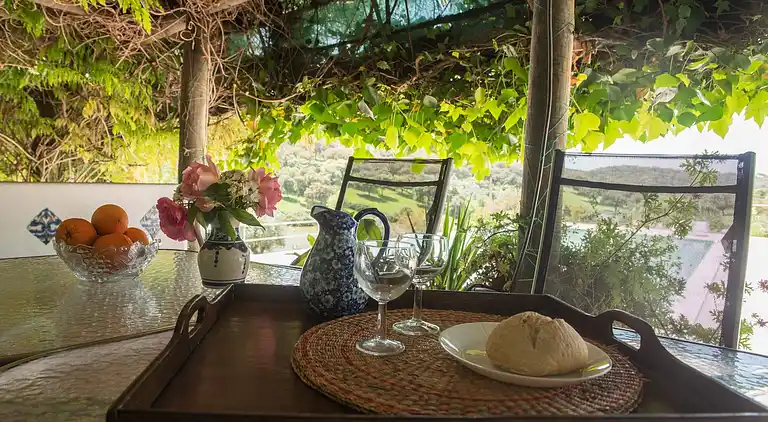 Manor house in São Sebastião da Giesteira