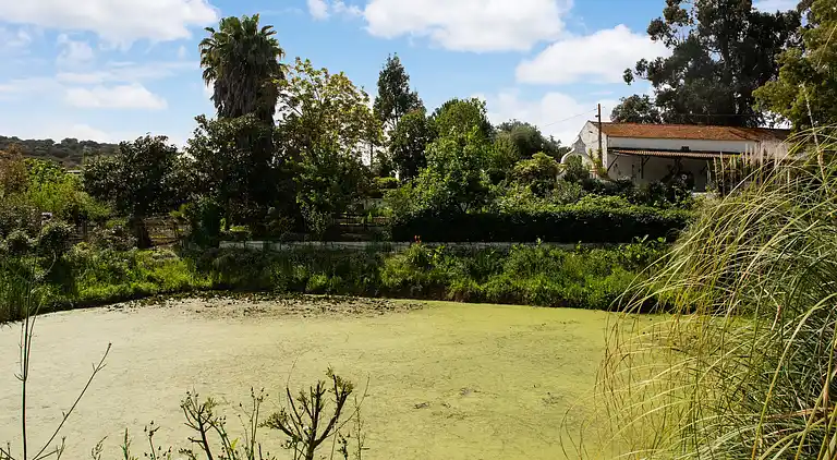 Farm house in São Sebastião da Giesteira