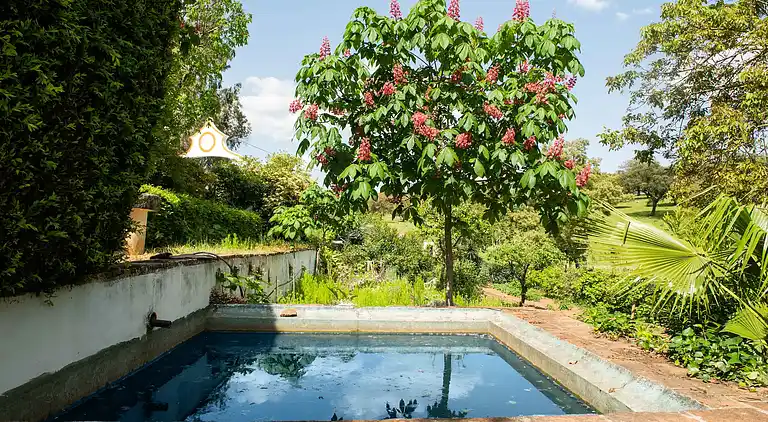 Farm house in São Sebastião da Giesteira