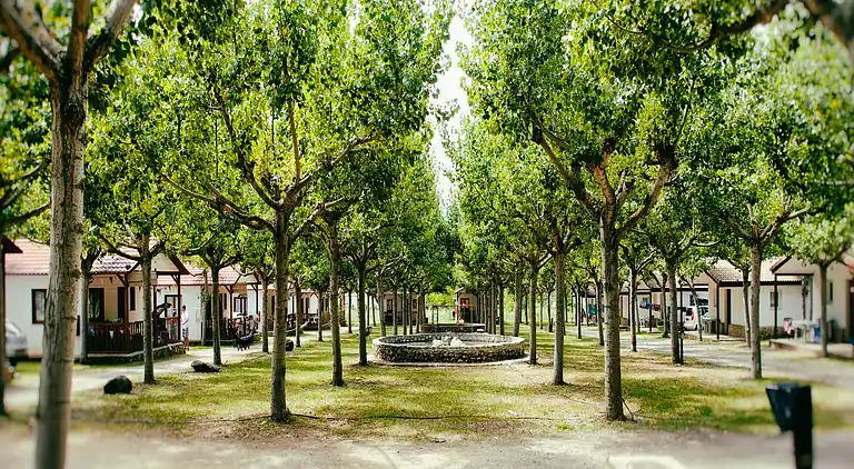 Bungalow in Isábena