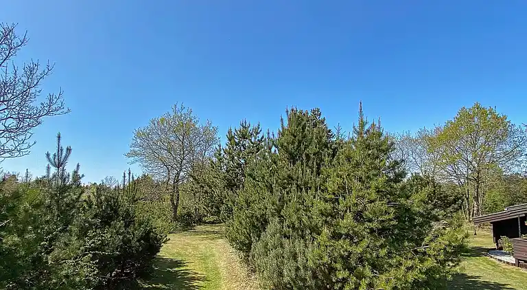 Sommerhus i Houstrup