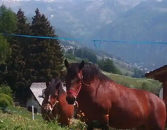 Sommerhus i Antey-Saint-André