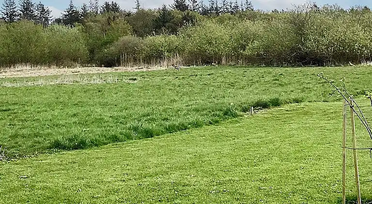 Holiday home in Øster Assels