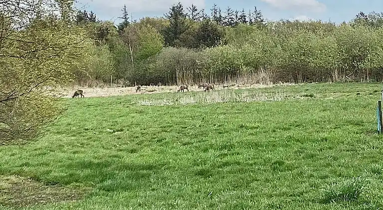 Holiday home in Øster Assels