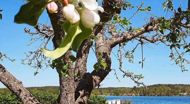 Feriebolig i Linköping