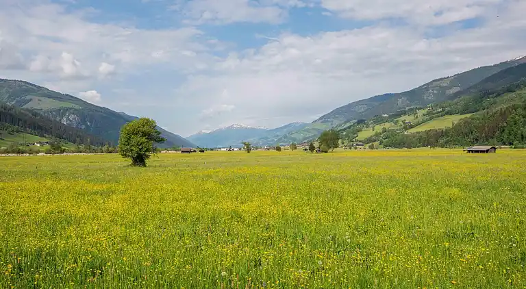 Sommerhus i Lengdorf