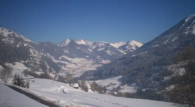 Cottage in Abondance