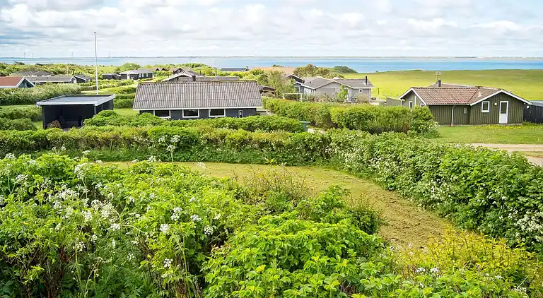Sommerhus i Vestervig