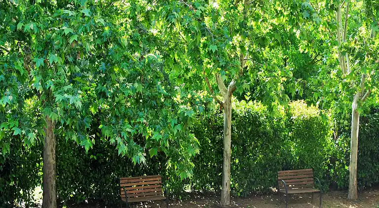 Cottage in Cornudella de Montsant