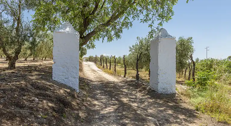 Hacienda San Antonio Holiday Home