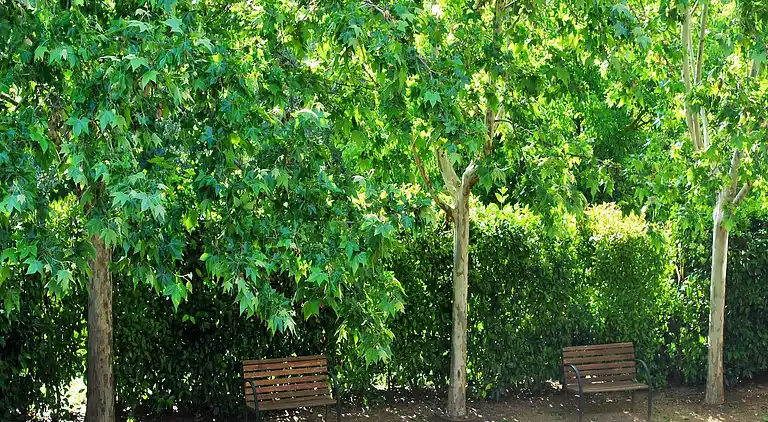 Cottage in Cornudella de Montsant