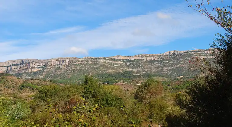 Cottage in Cornudella de Montsant