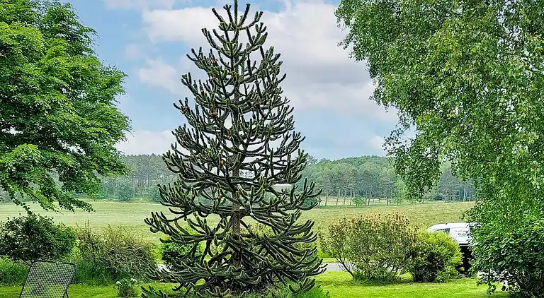 Sommerhus i Hundested