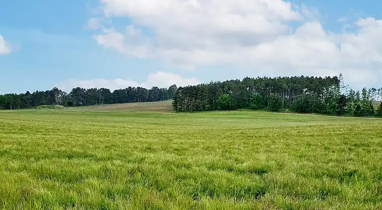 Sommerhus i Hundested