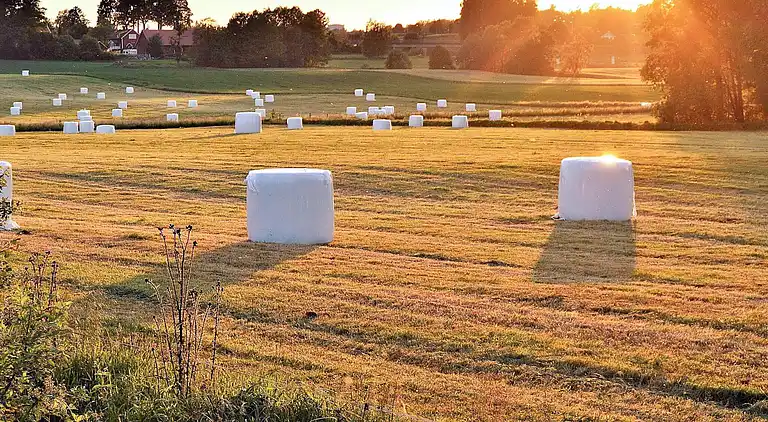 Feriebolig i Kungälv