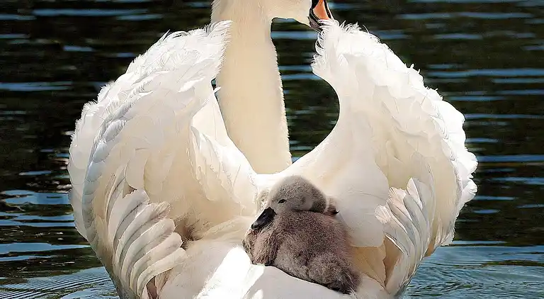 Feriebolig i Kungälv