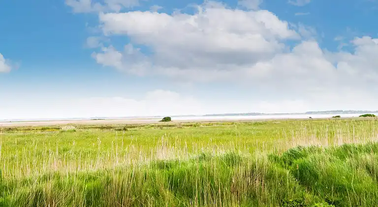 Holiday home in Ulfborg