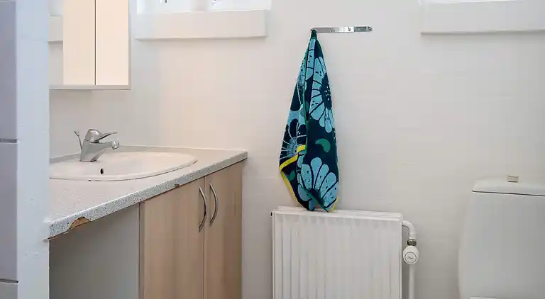 Holiday home in Thisted