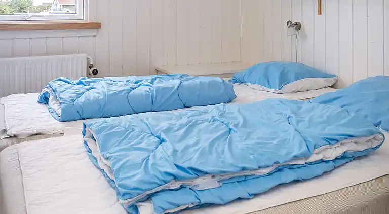 Holiday home in Thisted