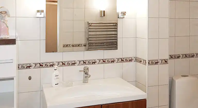 Sommerhus i Svenljunga Ö