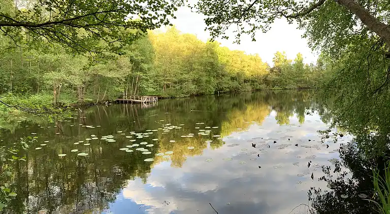 Summer house with terrace overlooking nature