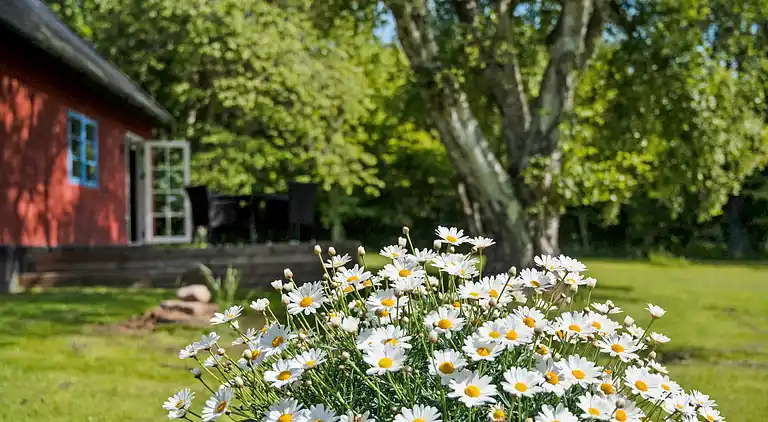 Cozy and original holiday home on Bornholm