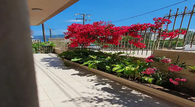 Villa in Loutra Oreas Elenis