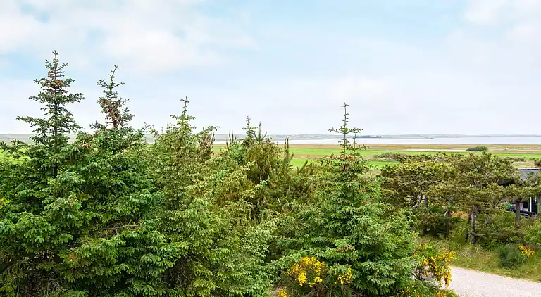 Feriebolig i Nørre Fjand