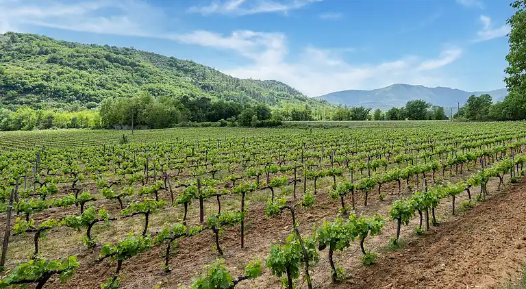 Vakantiehuis in Les Vans