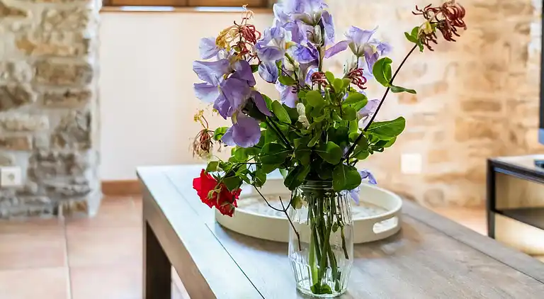 Vakantiehuis in Les Vans