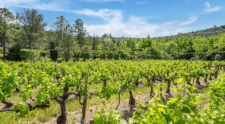 Vakantiehuis in Les Vans