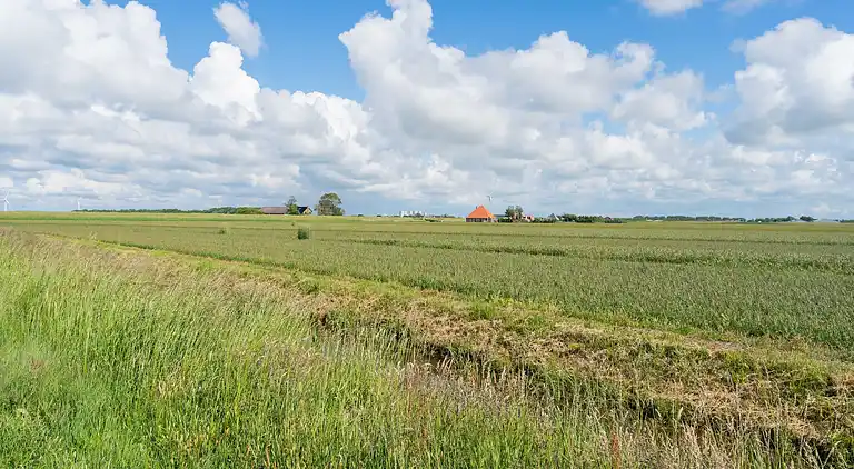 Vakantiehuis in Callantsoog