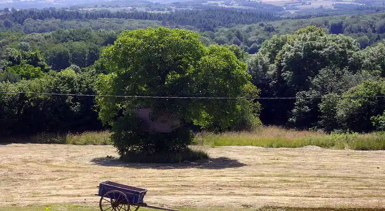 Holiday home in Teilhet