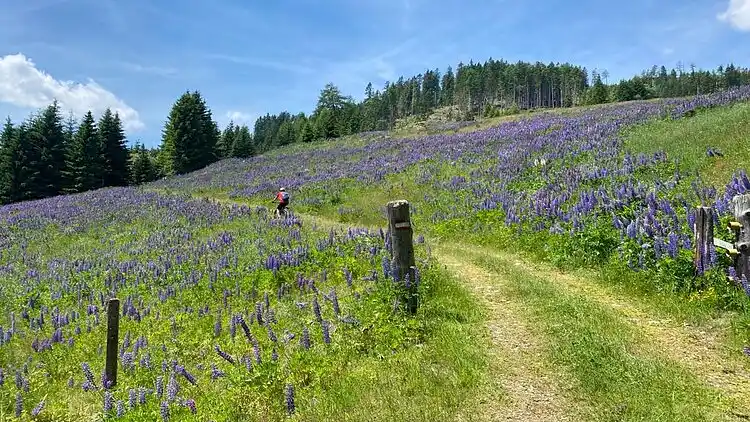 Hytte i Großkirchheim