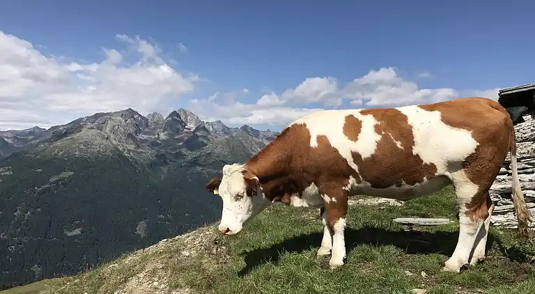 Hytte i Großkirchheim