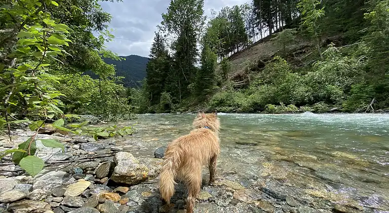 Hytte i Großkirchheim