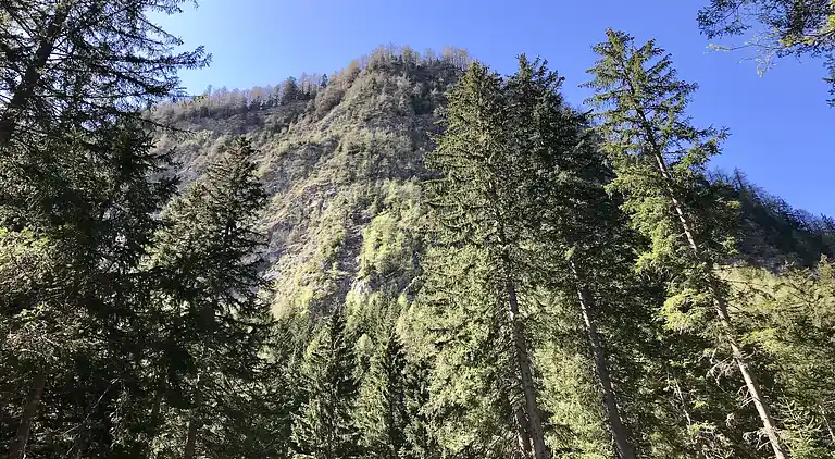 Hytte i Großkirchheim