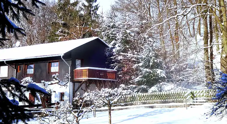 Holiday home in Oberschledorn