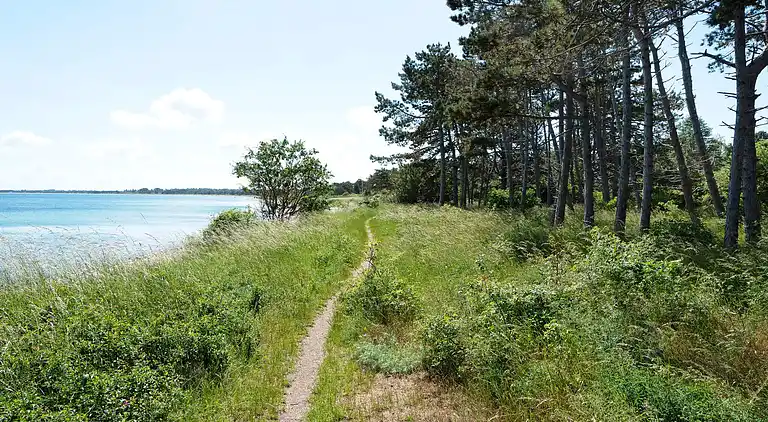 Holiday home in Nykøbing Sjælland