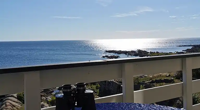 Holiday apartment with sea view on the cliffs