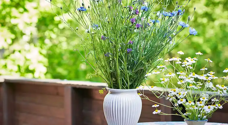 Sommerhus i Aakirkeby