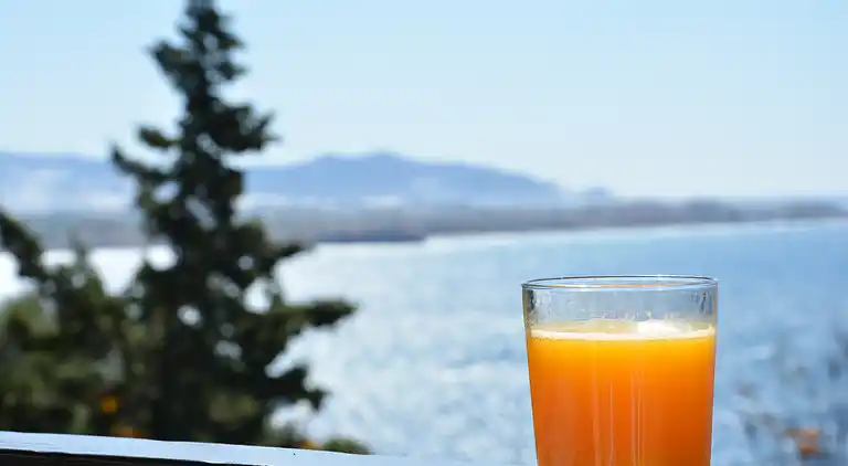 Las Gaviotas, ideal house to relax contemplating the sea