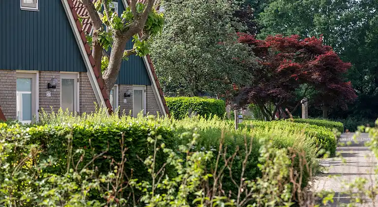 Bungalow  i Plasmolen