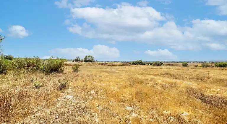 Manor house in El Palmer