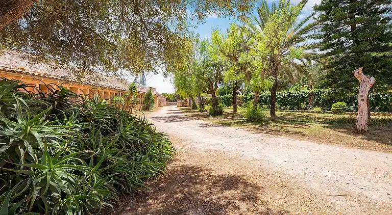 Manor house in El Palmer